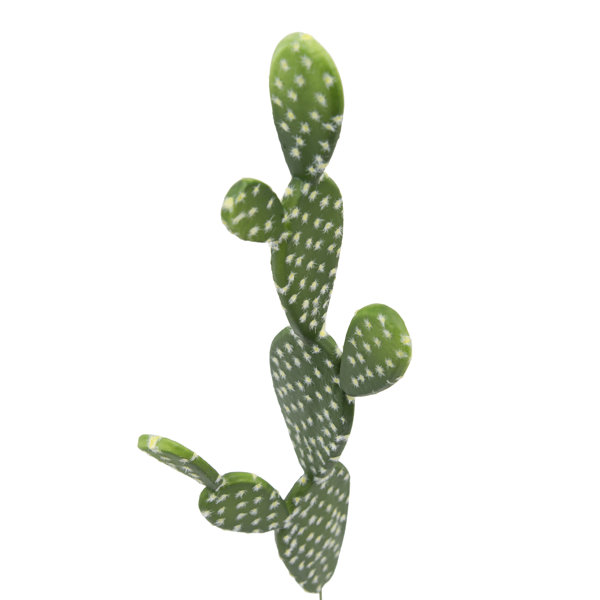 Primrue 20'' Faux Cactus Plant Wayfair Canada